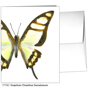 Graphium Cloanthus Sumatranum, Greeting Card (7773C)