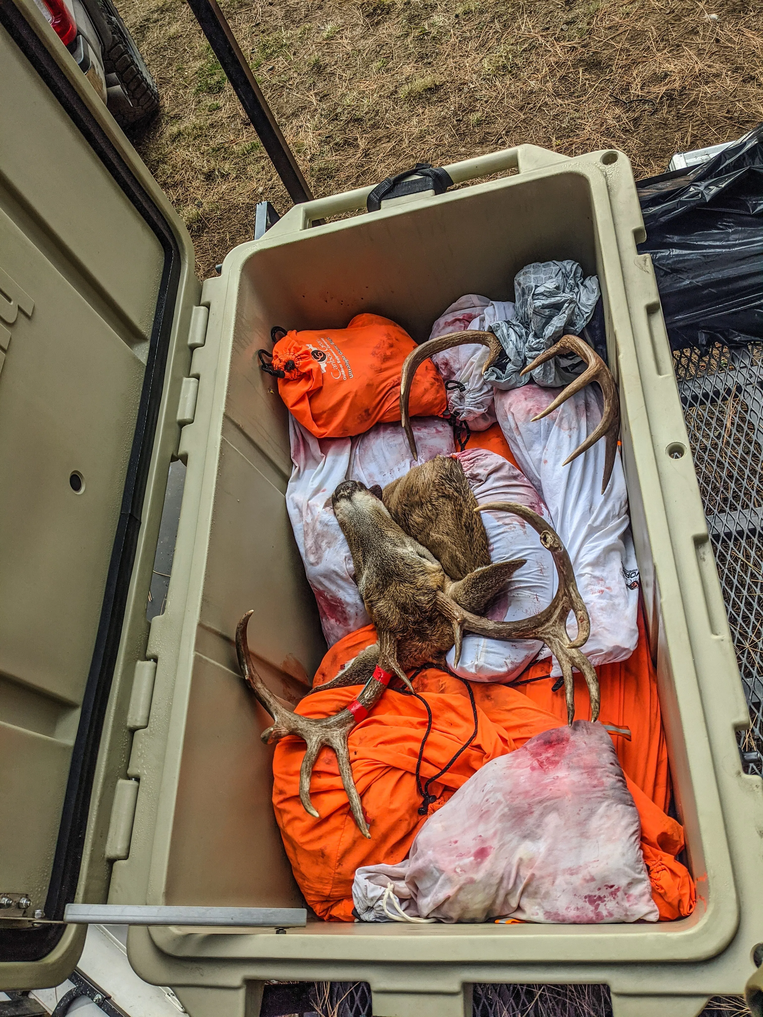 Limited Edition All Orange "The Carnivore" - Boned Out Game Bags for Elk Sized Game