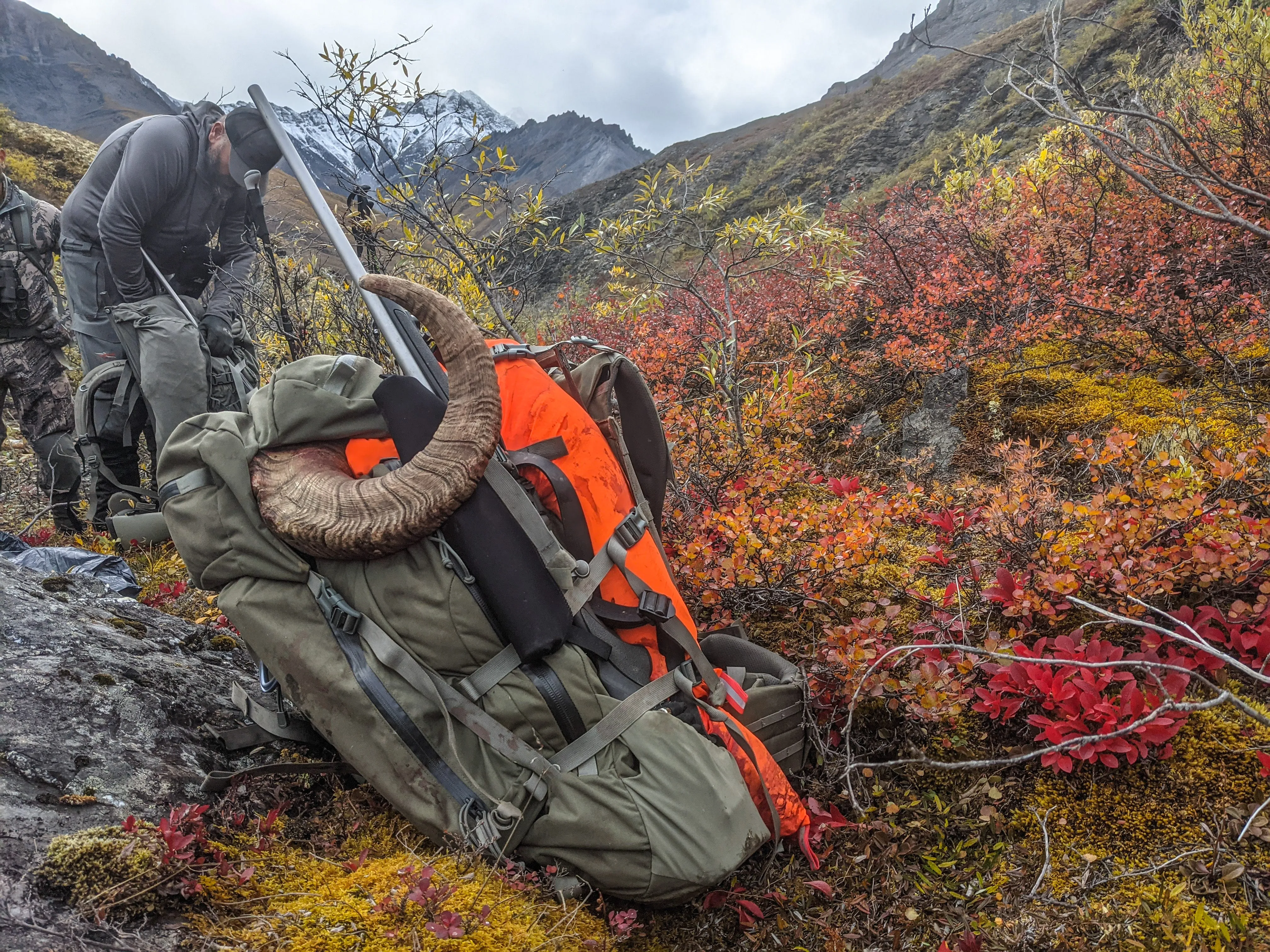 Limited Edition All Orange "The Carnivore" - Boned Out Game Bags for Elk Sized Game