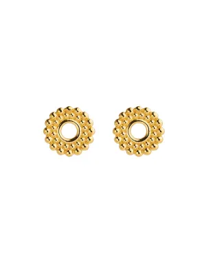 Nectar Yellow Gold Circle Studs